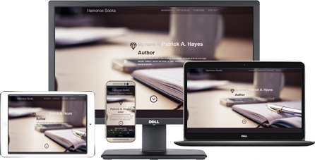 Patrick Hayes responsive website responsive design